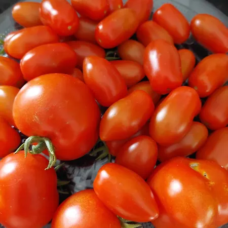 Apartment Nogica Otocec